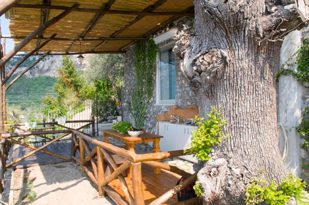 Fattoria La Tagliata Panzió Positano Kültér fotó